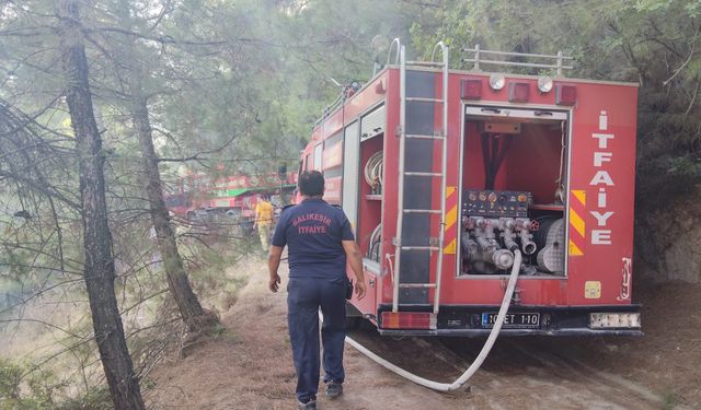 İvrindi Büyükyenice'de orman yangını!