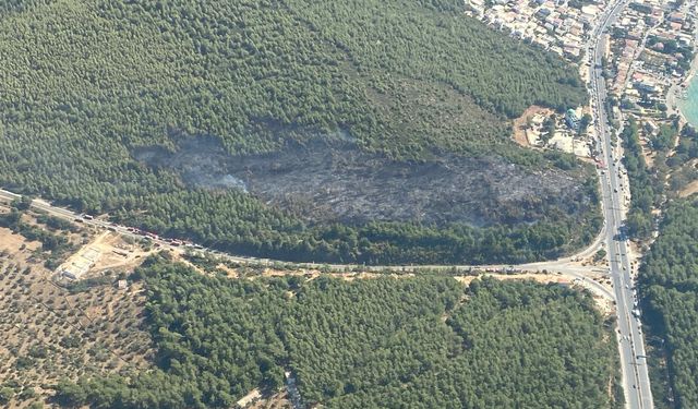 Muğla'da Korkutan Orman Yangını! Bodrum Felaketin Eşiğinden Döndü!