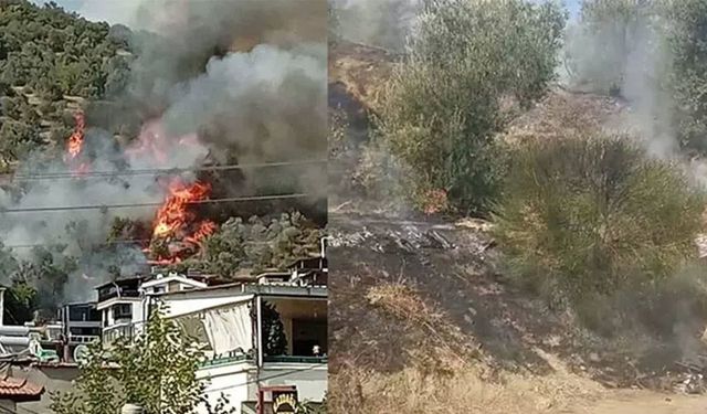 Balıkesir Edremit’te Korkutan Yangın! Ekipler Hızla Müdahale Etti