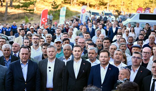 Meğer o yol Sındırgı - Gördes yolu değil orman yoluymuş!