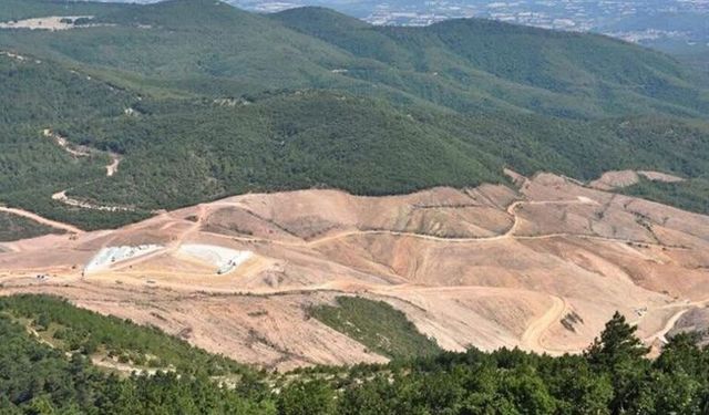 Kanadalı şirket gitti, TUMAD geldi... Kazdağları'nda değişen bir şey yok!