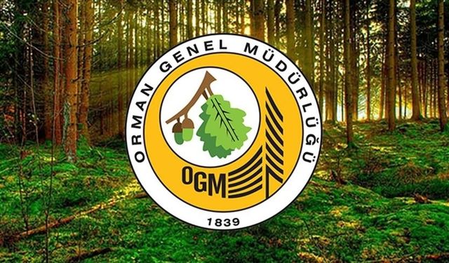OGM Personel Alımı Başvuruları Başladı mı? OGM Personel Alımı Başvuruları Ne Zaman? İşte Kadrolar ve Başvuru Şartları: