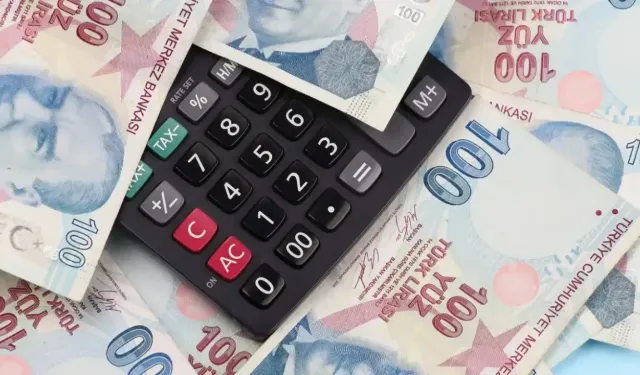 Emekliye Ek Gelirde Yeni Dönem! Tamamlayıcı Emeklilik Sistemi Geliyor! TES Nedir?