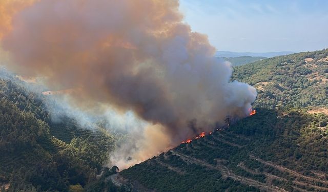 Kepsut Kayaeli’de Orman Yangını! Araçtaki Yangın Ormana Sıçradı!