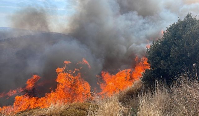 Erdek'te Korkutan Yangın! 100 Dönümlük Arazi Küle Döndü!