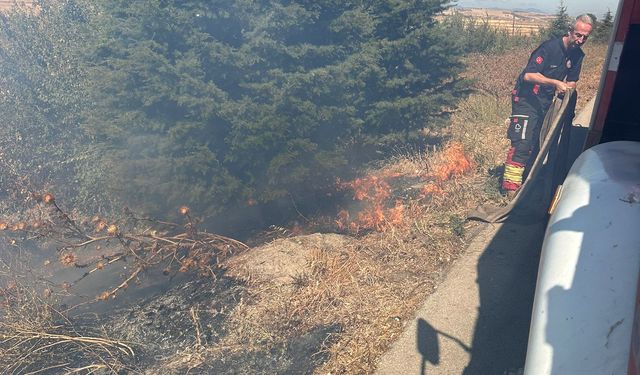 Balıkesir'de Yangın Paniği! Bandırma - Susurluk Karayolu Alev Alev Yandı!