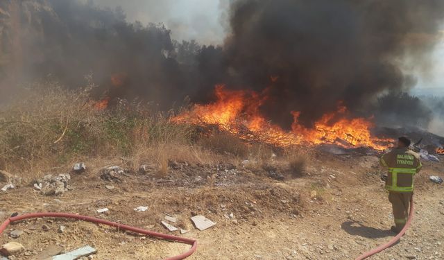 Balıkesir'de Korkutan Yangın! Edremit'te Zeytinlik Alanda Yangın Çıktı!