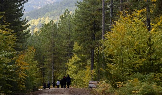 Doğa Severler Dursunbey’de Buluşuyor: 3. Hafta Rotası Yayla!