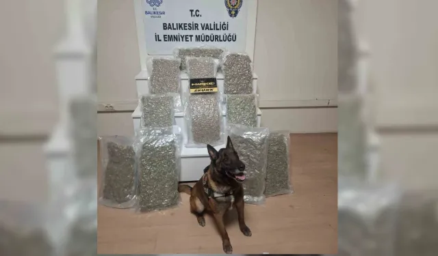 Balıkesir’de Uyuşturucu Operasyonu: 12 Kilo 600 Gram Esrar Ele Geçirildi!