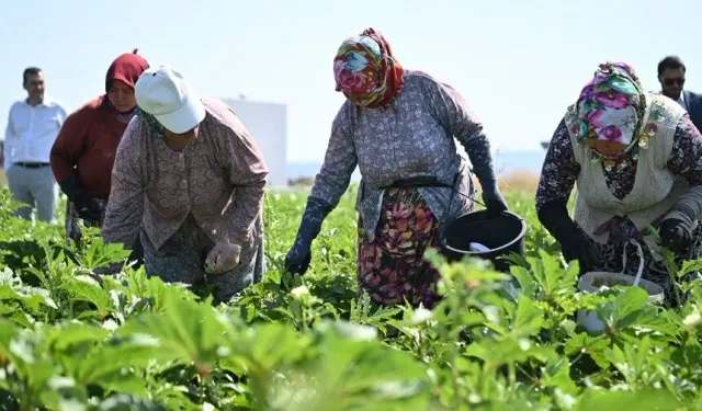 Toprağı yeşerten eller... Bereketin adı kadın!