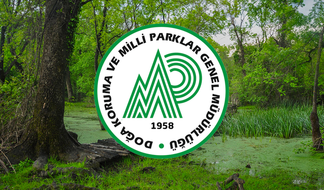 DKMP 240 Personel Alacak: Başvuru Süreci Nasıl İşleyecek? Kimler Başvurabilir? Şartlar Neler?