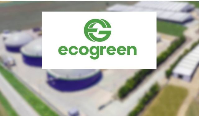 Ecogreen Enerji Holding Halka Arz Sonuçları Açıklandı! ECOGR Kaç Lot Verdi?