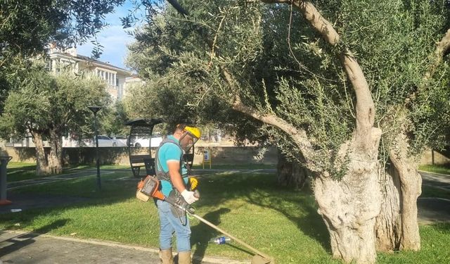Edremit Belediyesi Yeşil Alanlarda Düzenli Bakım Çalışmalarını Sürdürüyor