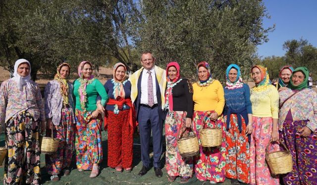 20. Uluslararası Zeytin, Hasat ve Turizm Festivali Başlıyor!