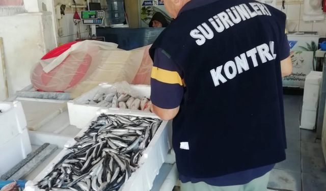 Burhaniye’de Balıkçılık Denetimleri Sıklaştı: Su Ürünlerinde Eş Zamanlı Kontrol!