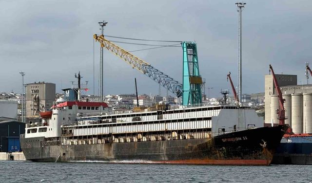 Bandırma’da Spiridon 2 Krizi!  Limanda Tahliye Engellendi, Hayvanlar Telef Oluyor