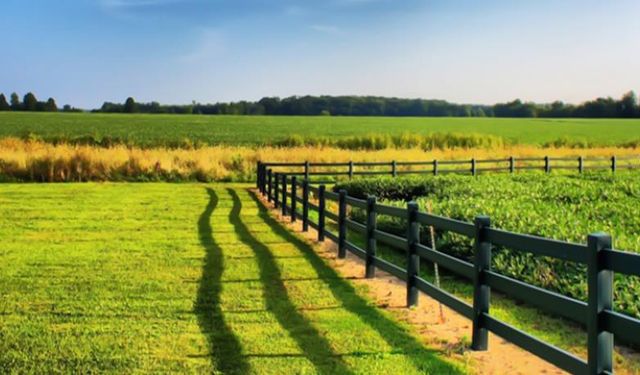 Altıeylül Belediyesi kırsaldaki arsaları yeniden satışa çıkardı