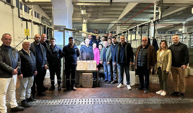 Erdek Belediyesi’nden Zeytin Hasadı Sezonuna Bereket Dileği