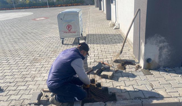 Kepsut Belediyesi İlçe Genelinde Yoğun Çalışmalarını Sürdürüyor