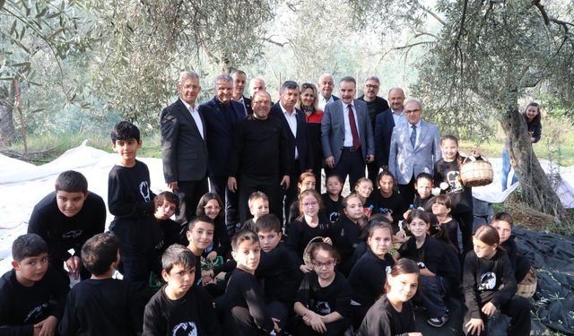 Edremit’te Öğrenciler Zeytin Hasadında Buluştu