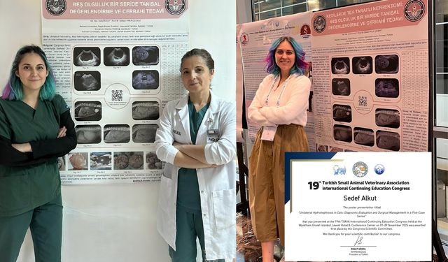 BAÜN’den Uluslararası Başarı: 19. Uluslararası Sürekli Eğitim Kongresi’nde Poster Sunum Birinciliği