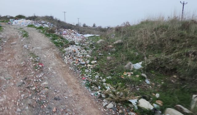 Vatandaş atıyor, Belediye bakıyor!