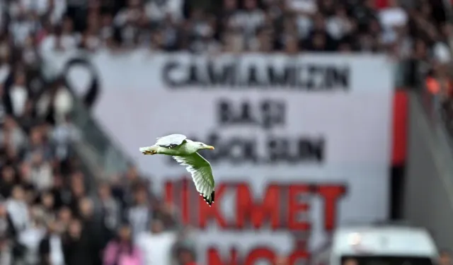 Sahadaki Martı Sosyal Medyayı Salladı! Beşiktaş Efsanesi Seba'nın Sözleri Yeniden Gündem Oldu!