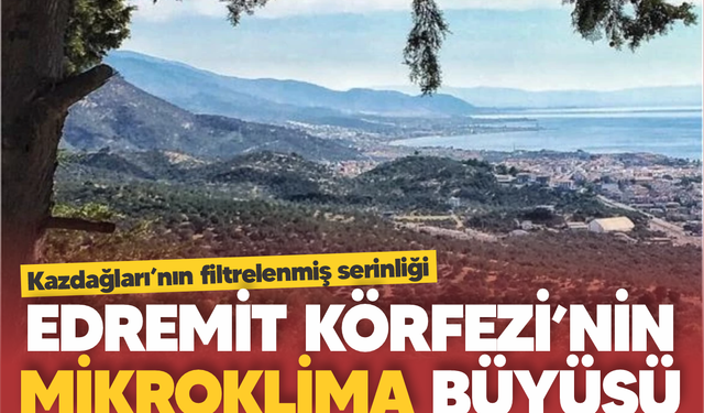 Edremit Körfezi'nin mikroklima büyüsü