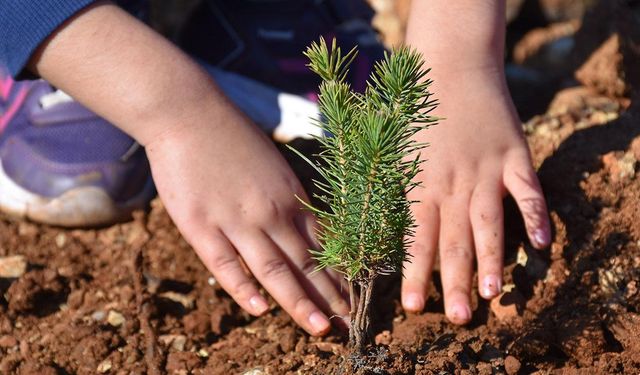 Balıkesir’de “Yeşil Vatan Seferberliği! Fidanlar toprakla buluşacak