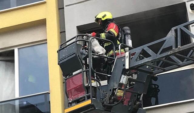 Bandırma’da Yangın! İtfaiye Mahsur Kalan Kediyi Böyle Kurtardı