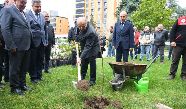 İncir Üretimini Artırma Projesi Kapsamında Fidan Dağıtımı Gerçekleştirildi