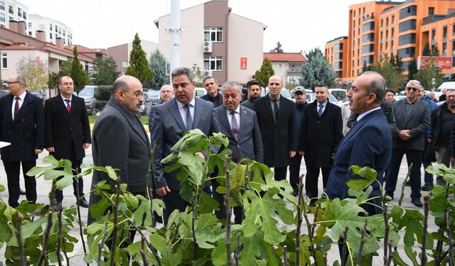 Balıkesir'de tarım arazileri incirle canlanacak