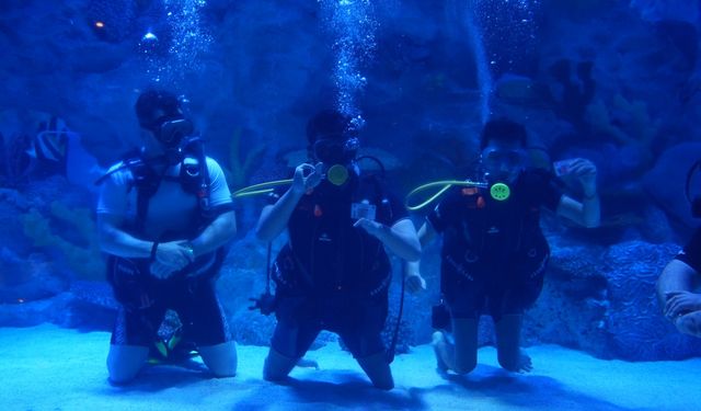 3 Aralık Dünya Engelliler Günü’nde Engelsiz Dalış Etkinliği Gerçekleştirildi