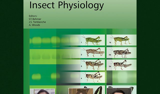 Küresel Isınma Tarımı Tehdit Ediyor: BAÜN Akademisyenlerinden Zararlılar ve Yararlı Türler Üzerine Çarpıcı Bulgular