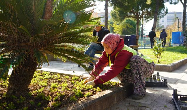 Edremit Belediyesi Parklarda Peyzaj Bakım Çalışmalarını Sürdürüyor