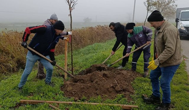 Bigadiç’in Girişine Yeni Bir Yeşil Dokunuş