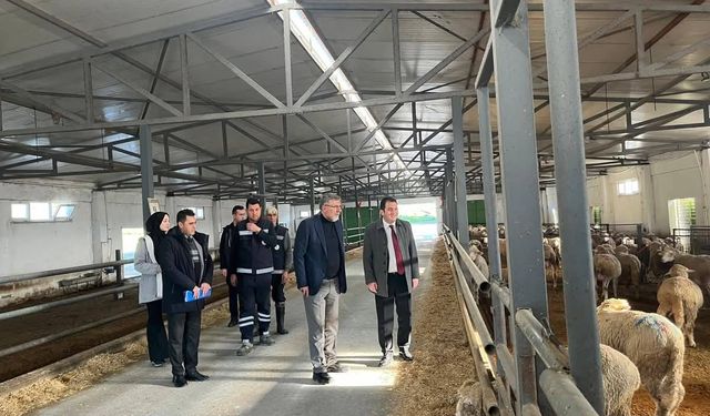 Kepsut’ta Saha İncelemeleri Gerçekleştirildi