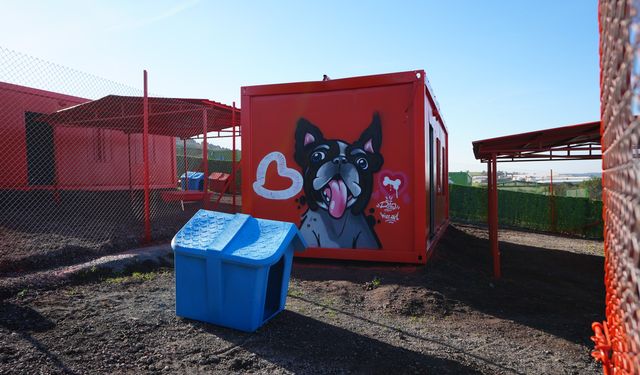 Balıkesir’den Türkiye’ye Örnek Proje!