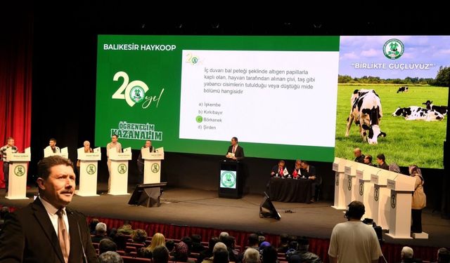 HAYKOOP bu yarışmada ödül yağdıracak