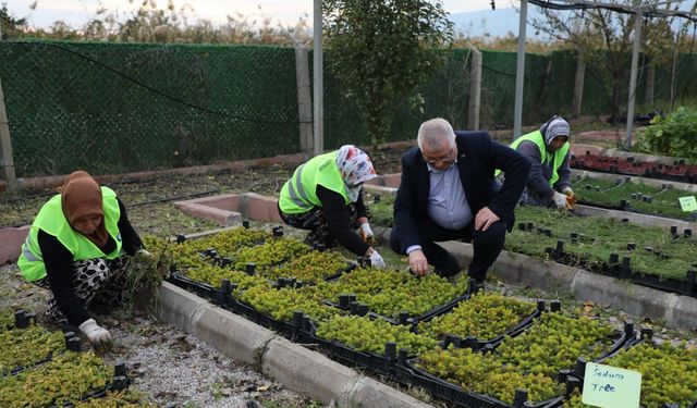 Edremit Belediyesi'nde kendin üret kendin dik çalışmaları