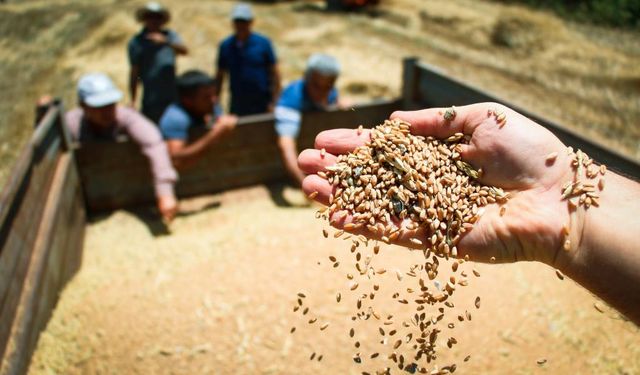 Tarım Alarm Veriyor: İthalat Artıyor, Üretici Kaybediyor