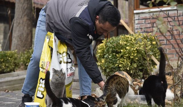Dursunbey’de Patili Dostlara Mama Desteği