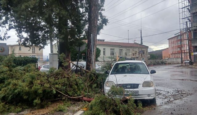 Dursunbey’de Fırtına Sonrası Alarm: Belediye Ekipleri Sahada