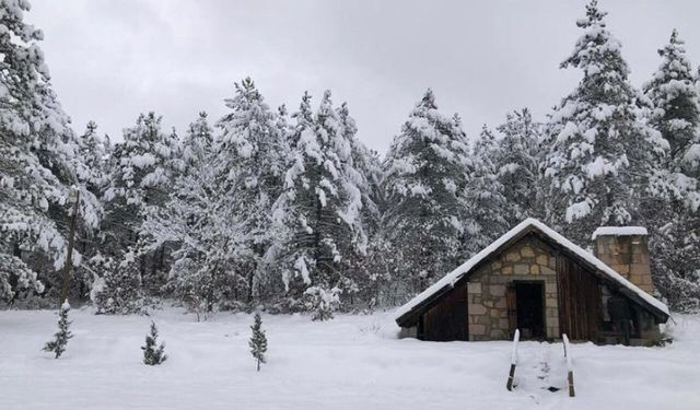 Balıkesir'de Kar Yağışı Etkisini Artırıyor: Dursunbey Sakız Yaylası Beyaza Büründü!