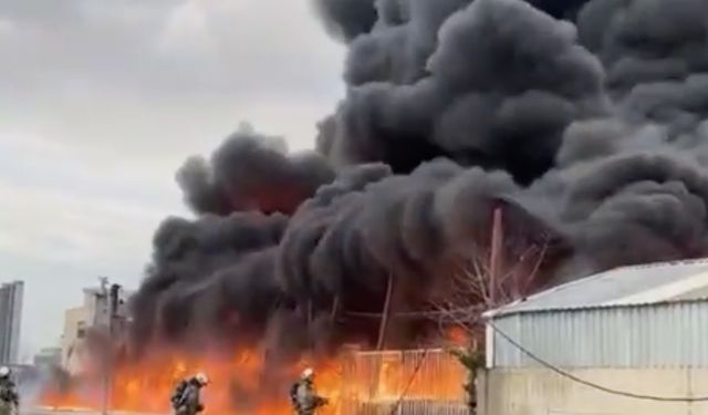 SON DAKİKA: Büyükçekmece’de Dev Fabrika Yangını! Gökyüzünü Siyah Dumanlar Kapladı: İtfaiye Müdahale Ediyor!