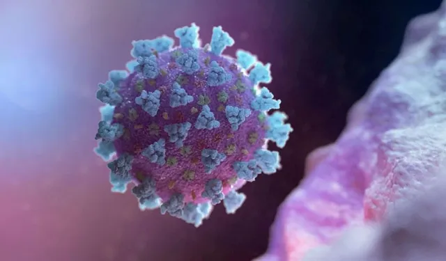 Son Dakika: Yeni Salgın Alarmı! DSÖ Nipah Virüsü İçin Risk Haritasını Paylaştı! Türkiye'de Görüldü mü?