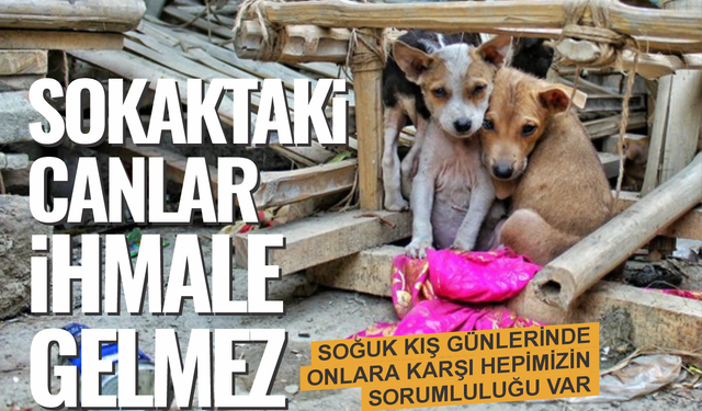 Soğuk ve yağışlı kış günlerinde sorumluluğumuz var