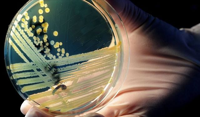 Antimikrobiyal Dirençle Mücadelede Yeni Dönem: Ulusal Eylem Planı (2026–2030) Yayımlandı