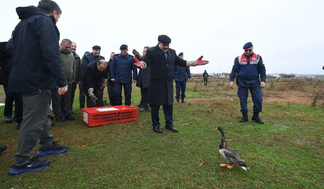 Manyas Kuşcenneti’nde Rehabilite Edilen Yaban Hayvanları Doğaya Bırakıldı