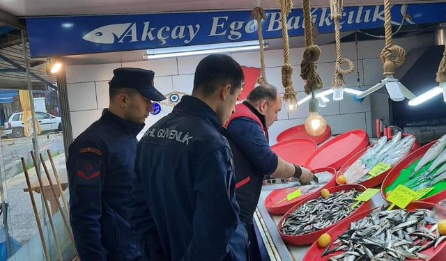 Edremit’te Perakende Balık Satış Noktalarına Su Ürünleri Denetimi